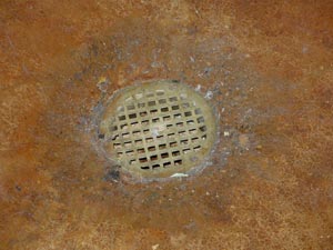 Floor Drain