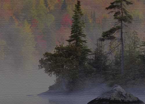 trees