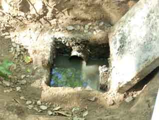 Sign of septic